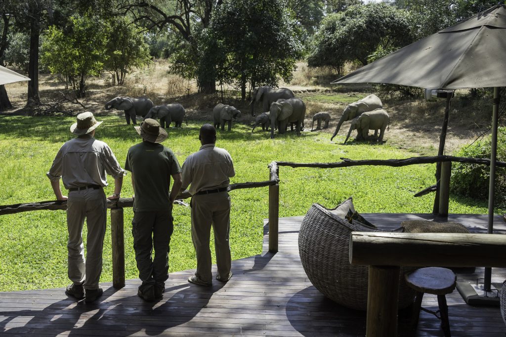 People standing close to a waterhole with Elephants drinking close by