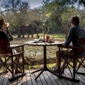 Phinda Homestead Lodge