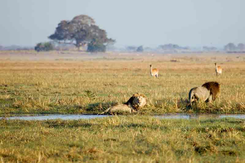 Kafue 4X4 expedition