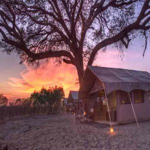 Savuti Under Canvas guest tent at sunset