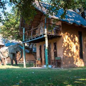 a wood and brick chalet with an elephant in front of it
