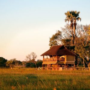 Wooden lodge called Gunns Camp under palm trees overlooking water plain