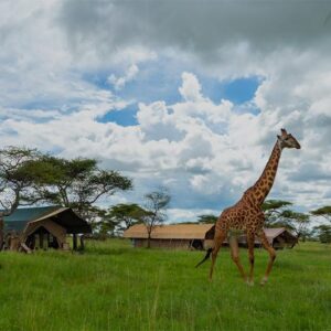 Serengeti Sametu Camp