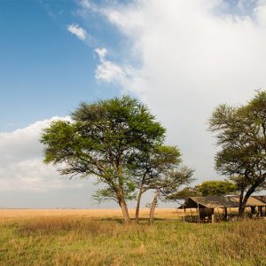 Serengeti Safari Camp