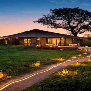 Ngala Tented Camp