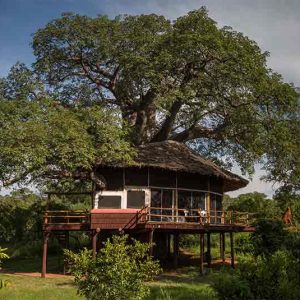 Tarangire Treetops