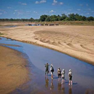people walking in a shallow river with elephants in the distance