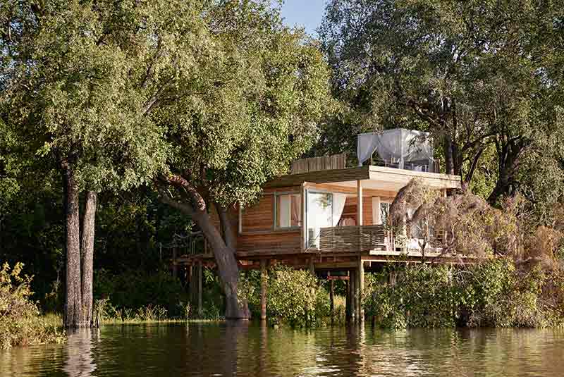 A guest chalet at Island Tree House amongst trees
