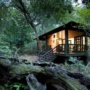 Phinda Forest Lodge