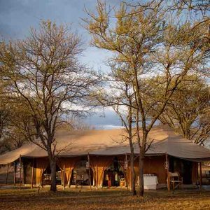 Serian's Serengeti Lamai