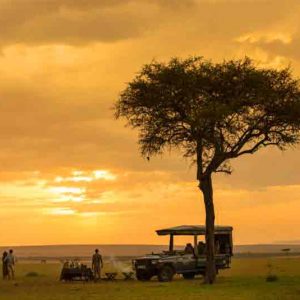 A safari vehicle under a tree on the plains of the Masai Mara at dusk