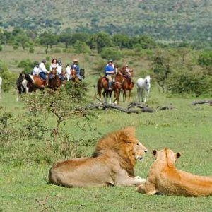 Offbeat Riding Safari's