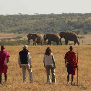 Kicheche Valley Camp