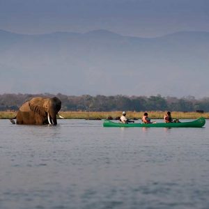 People in a canoe on a river with an elephant close to them