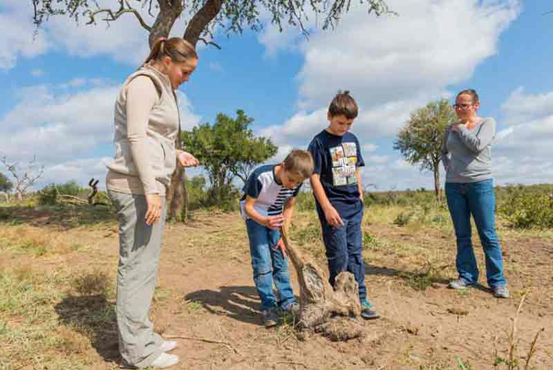 Your first safari in Africa…