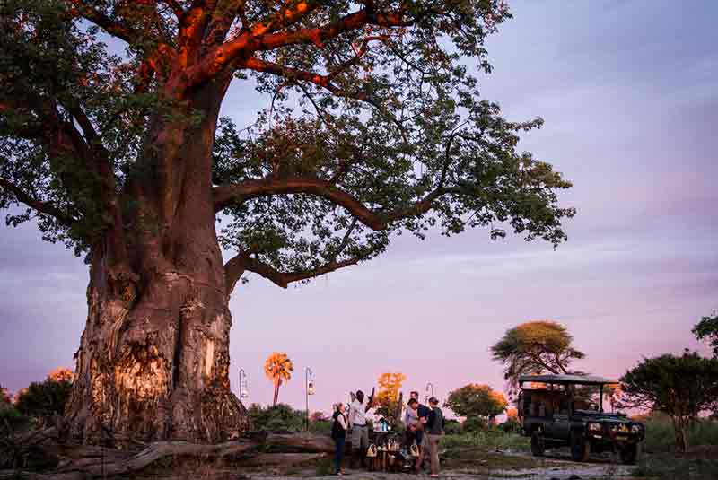 Vehicle under a tree serving drinks from a table