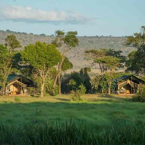 Safari tents under trees on the edge of a plain at Little Governers Camp