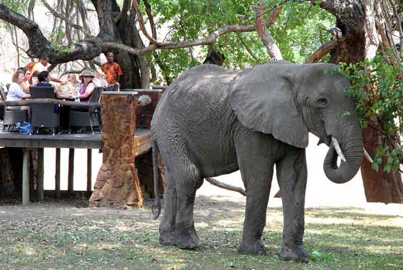 Never shoot a lady…