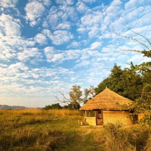 kuyenda, africa, zambia, south luangwa, bushcamp company, african safari experts