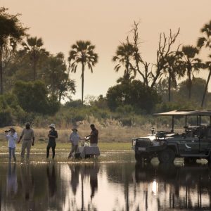 sandibe, game, drive, game drive, bush, africa, botswana, safari,