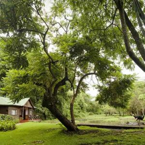 Mount Meru Lodge