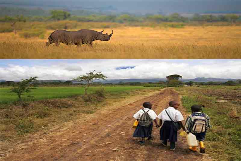 Travel for Wildlife Conservation