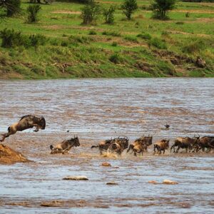 Serengeti River Camp