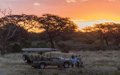 Top 5 Family Safari Lodges in Zambia