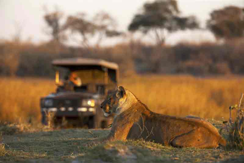 The Top 10 Pandemic Retreats in Africa