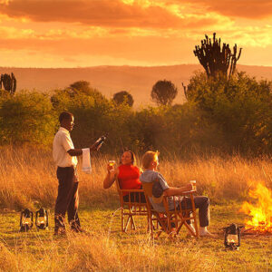 top 10 reasons to book your safari now