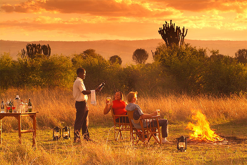 top 10 reasons to book your safari now
