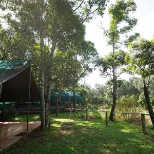 tents on the banks of the Mara River at Governers Il Moran Camp