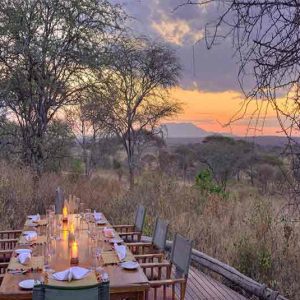 A dining table set out on a deck overlooking the African bush