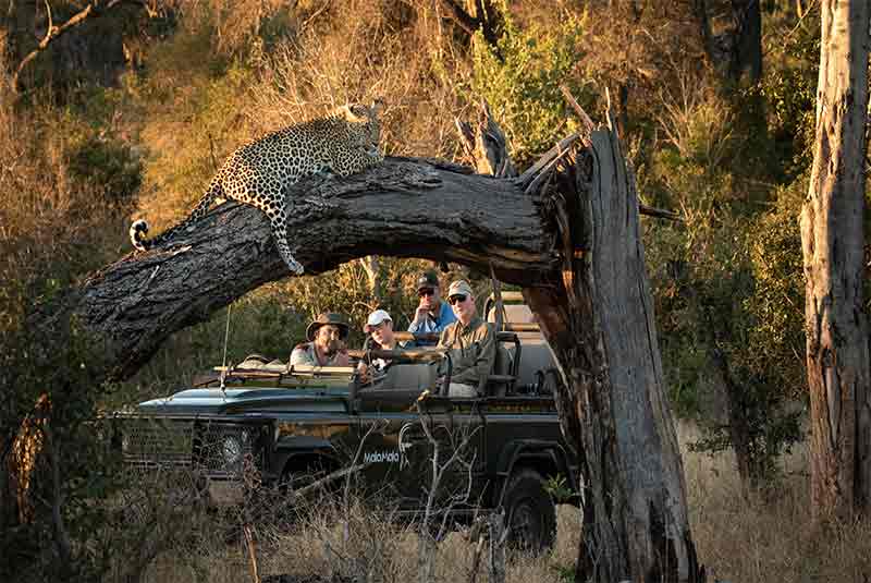 Africa safari planning…