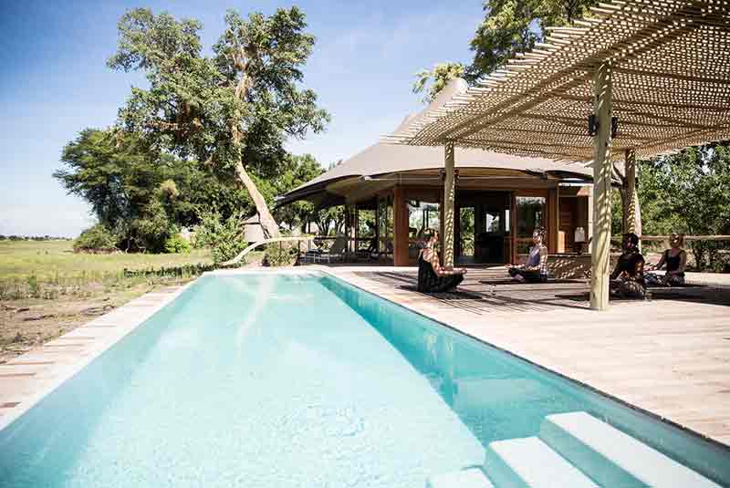 Swimming pool and wooden deck
