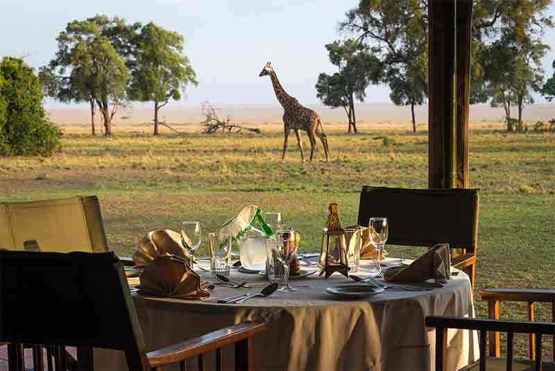 A table laid for breakfast with a Giraffe in the background
