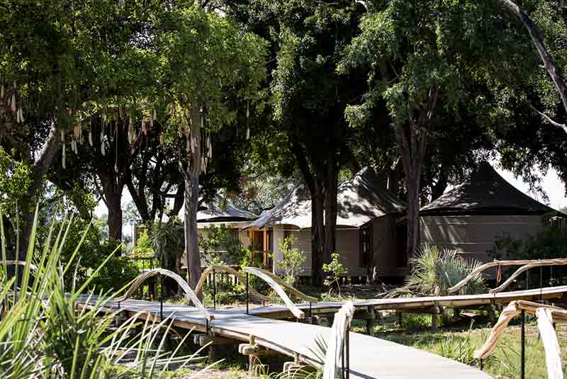 Wooden boardwalk with tents under trees