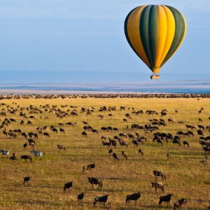 Hot air baloon over the Mara game reserve