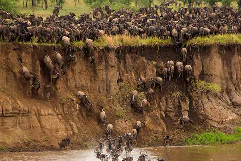 Migration Action 2020